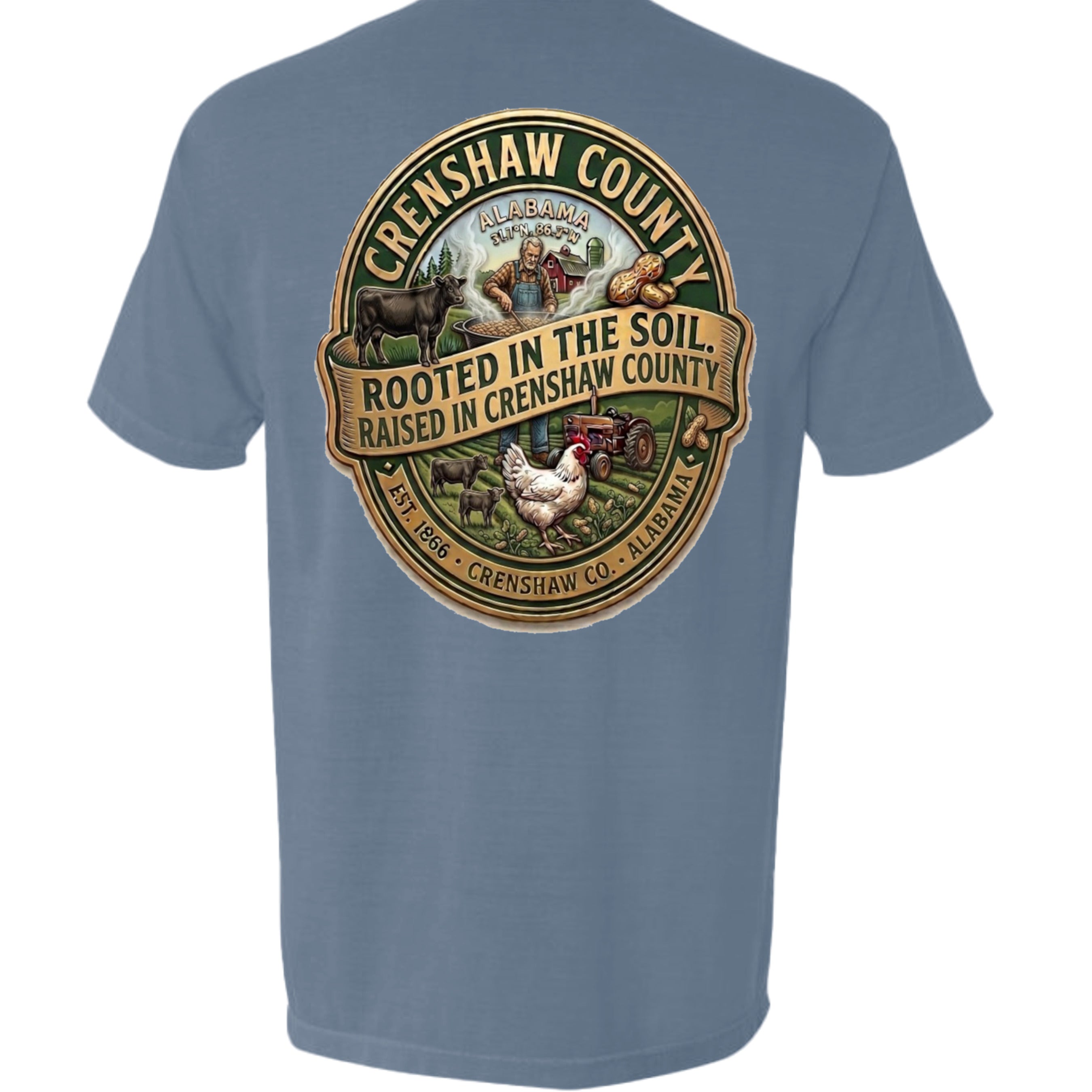 BLUE JEAN - 6030CC - BACK