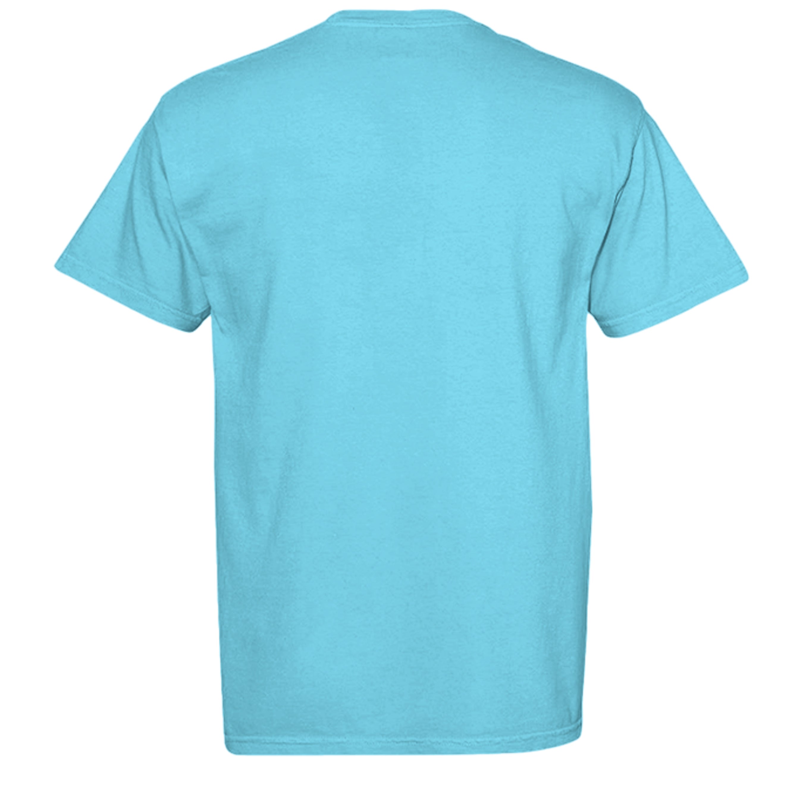 LAGOON BLUE - C1717 - BACK